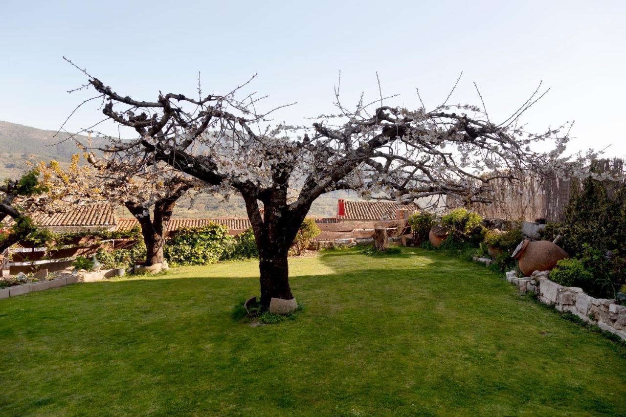 La Higuera Villa Villarejo del Valle Eksteriør billede
