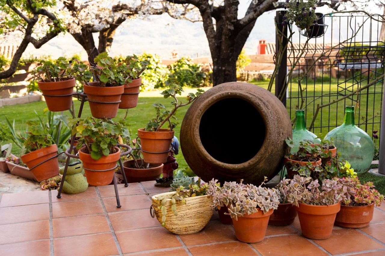 La Higuera Villa Villarejo del Valle Eksteriør billede